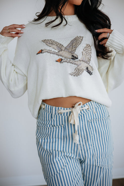 Take Flight Sweater