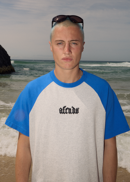 AFENDS Mens Drop Zone - Heavyweight Raglan Tee - Grey Marle